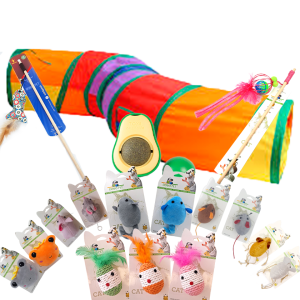 Sessão CATS