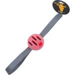 Novidades e tendências