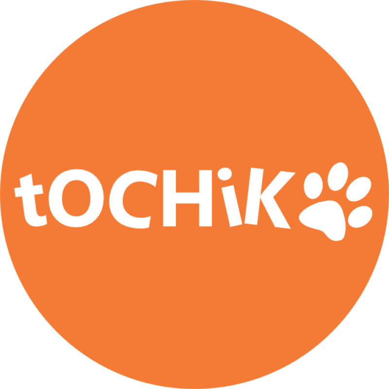 Tochik